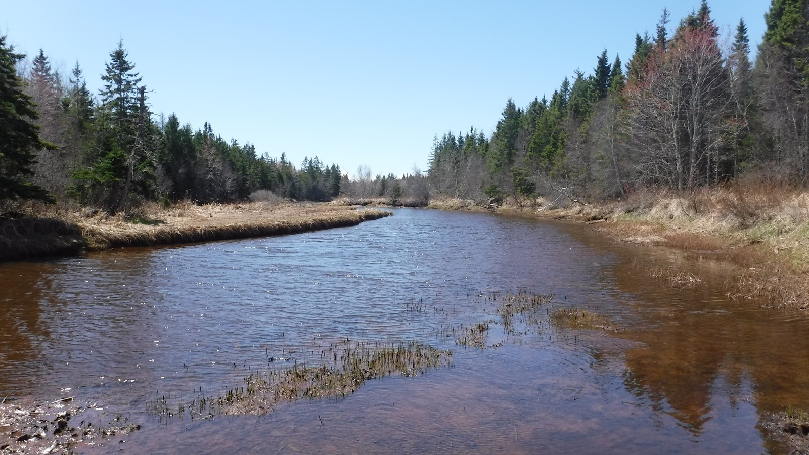 Gunkholing Lightly Enmore River (upper), PEI spring fishing