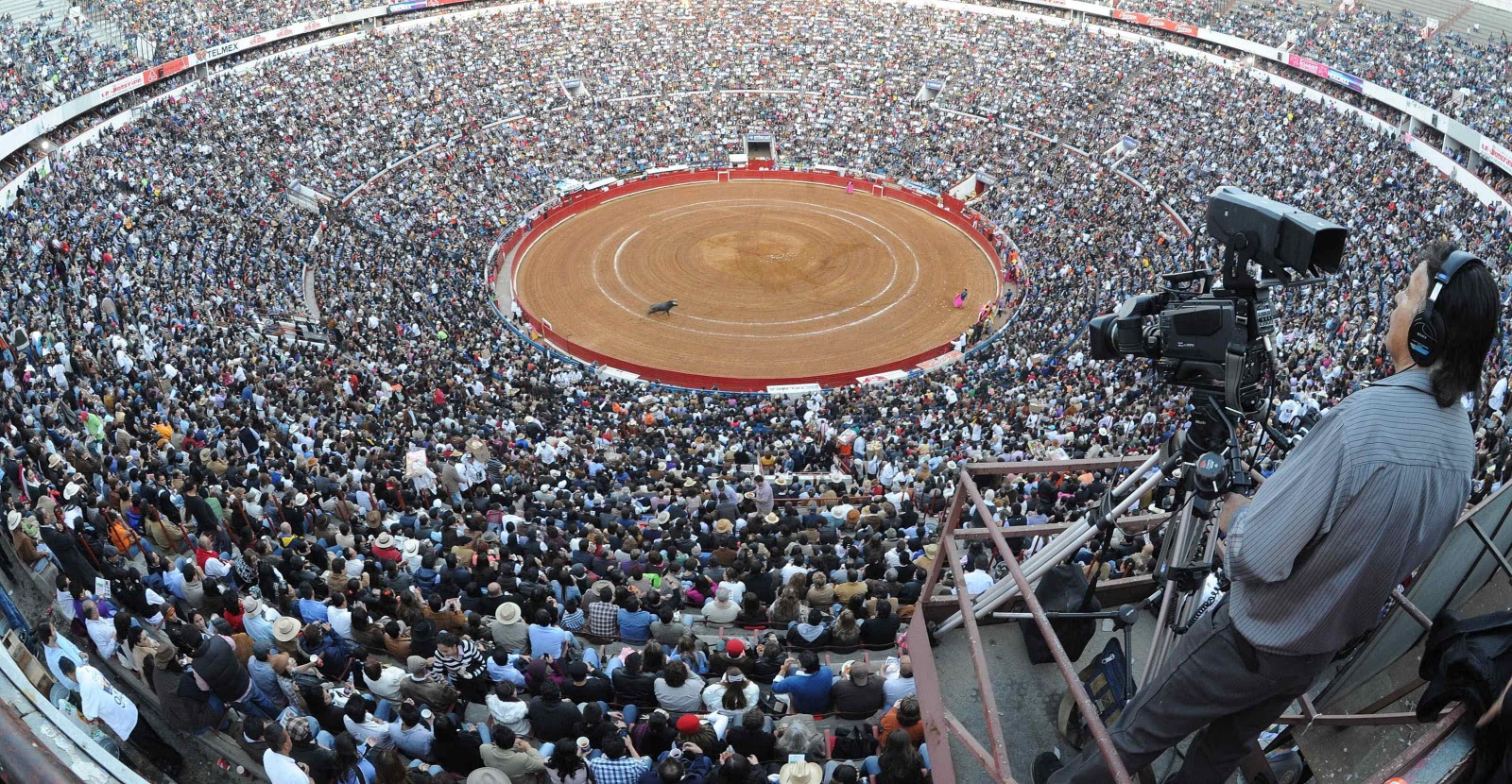 TAUROMAQUIAS Primera bitácora taurina del Perú Toros Online en vivo