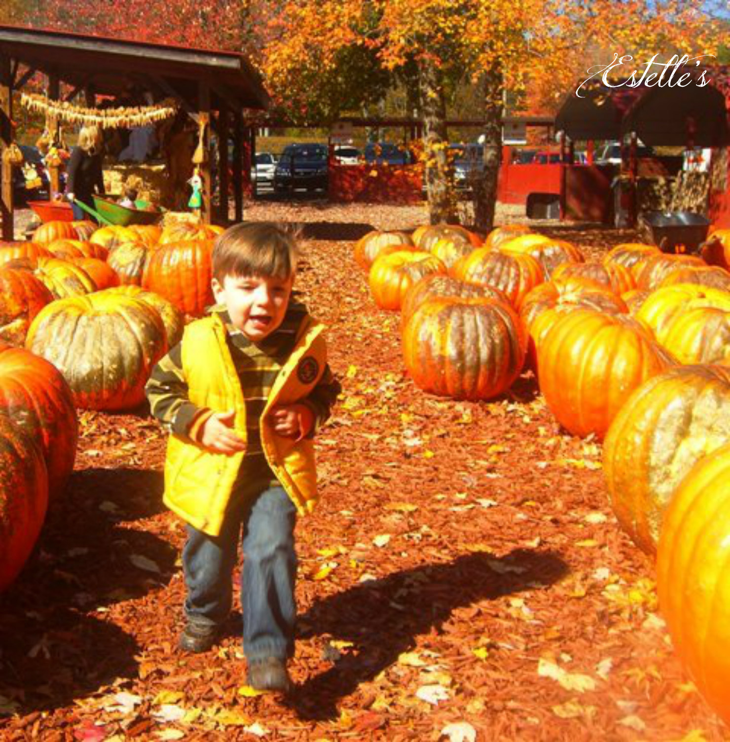 Estelle�s STYLING YOUR FALL BUCKET LIST