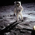 Top 5 Amazing Science Facts #7