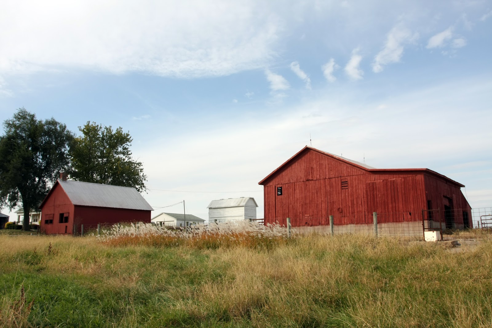 Murder of Crows Farm