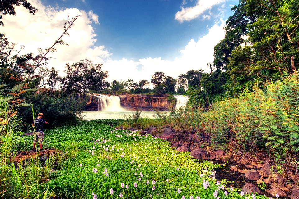 Chia sẻ 82 về hình nền rừng núi  cdgdbentreeduvn