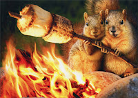 Funny Animal Bonfire | Celebrations Lohri