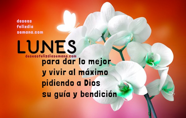 Feliz Lunes. Imágenes con frases cristianas positivas | Imágenes y Deseos  Feliz Día de Semana