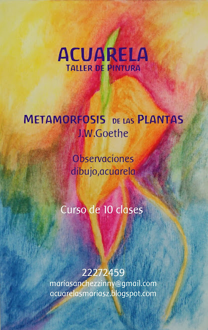 "La metamorfosis de las Plantas "