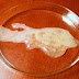 Several Colours Of Semen And Their Health Indications