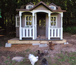chicken silkie coops goose coop playhouse manor silkies farm turned come chickens plastic into kits shed choosing turn