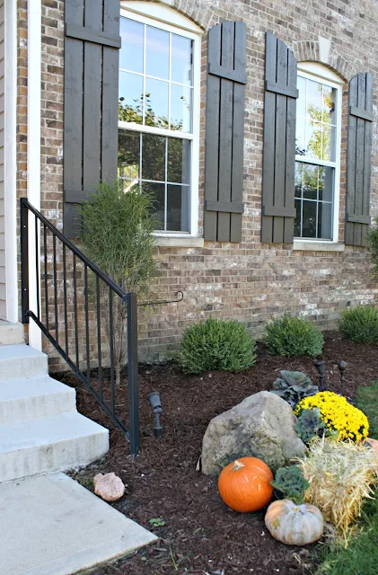 boxwood and buckthorn landscaping