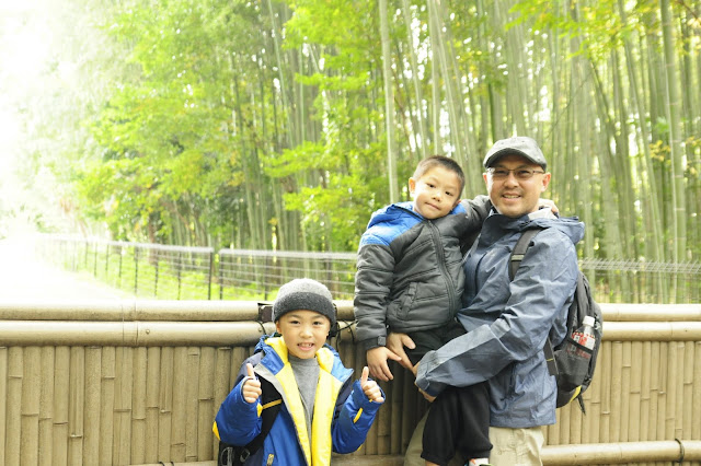 Japan Travel Kyoto: Arashimaya Bamboo Forest