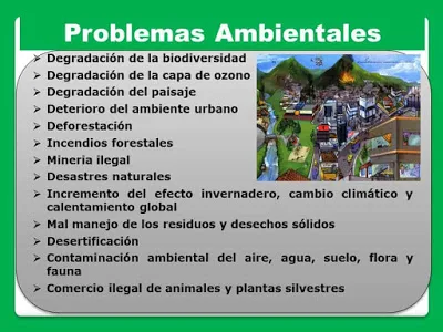 causas y consecuencias de los problemas ambientales
