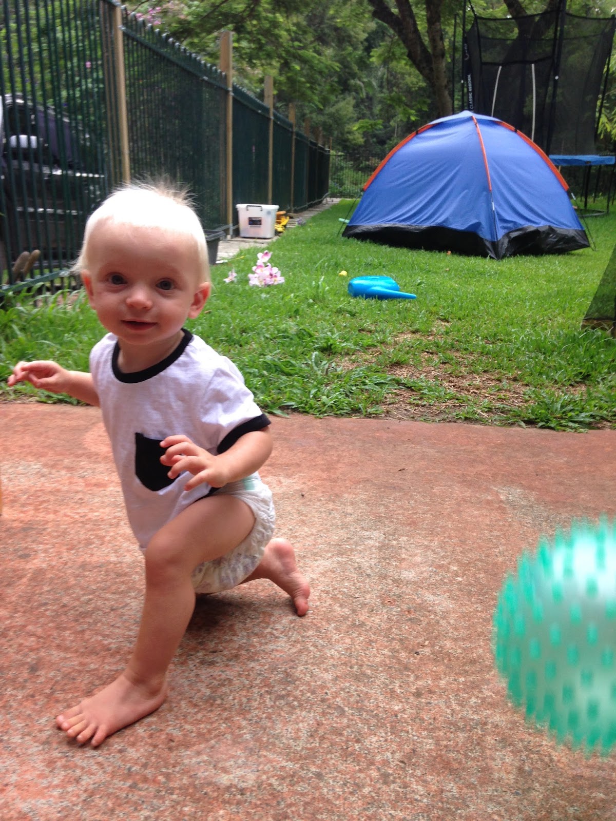 Three Willies Baby ball games, the 'PLOP' game, and a dragon fly