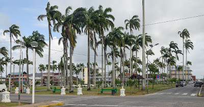 Place entourée de palmiers à Cayenne