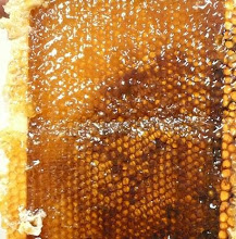 Tid för honung