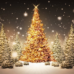 christmas tree nature background trees xmas wallpapers international fun