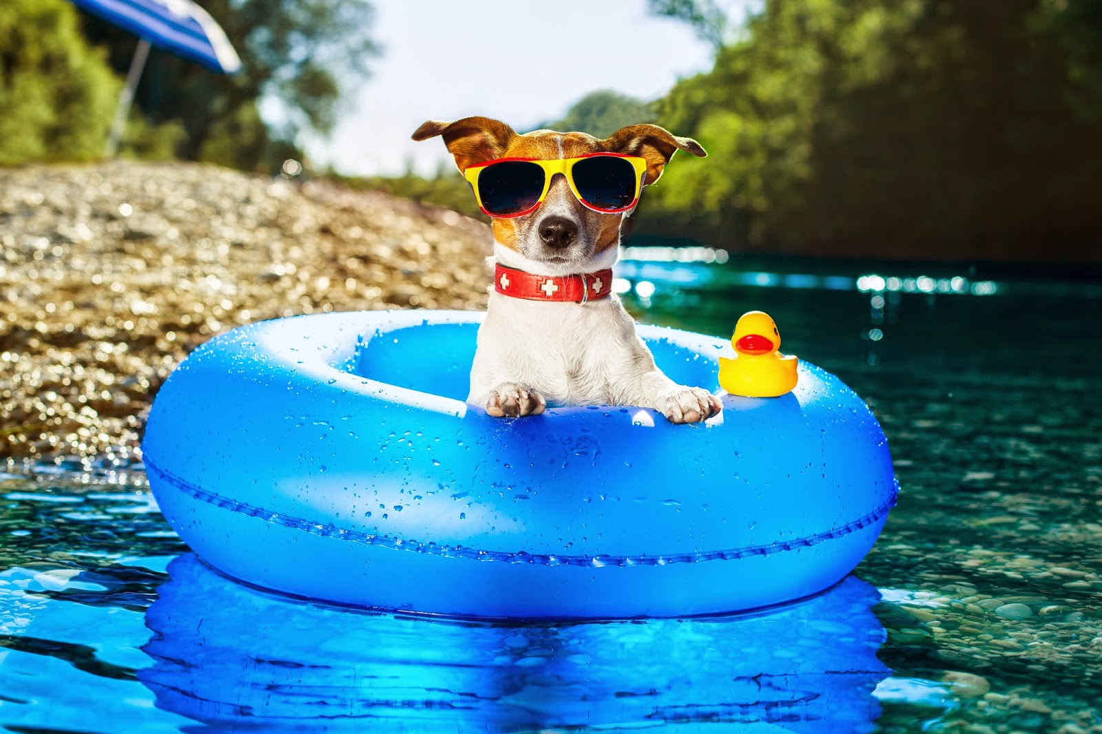 Doctors With Reiki "Why? Because I Like You."A Study On The Closed Heart