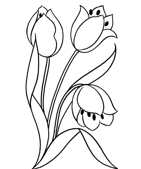 Pictures Of Flowers How To Draw Pictures Of Flowers How To Draw