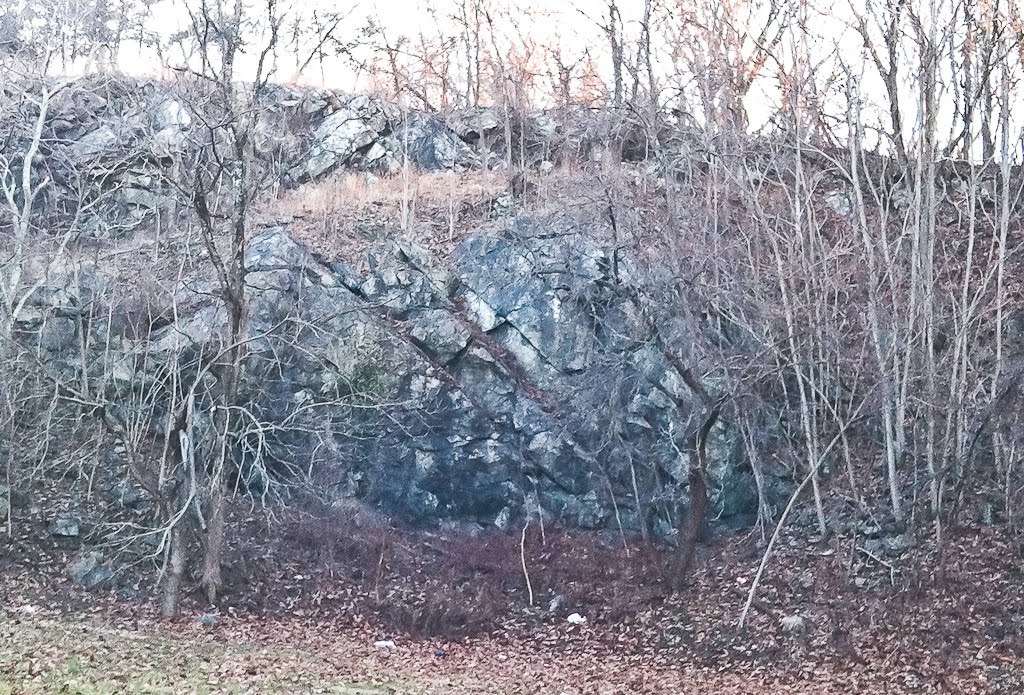 Mineral Bliss Opal at Bare Hills