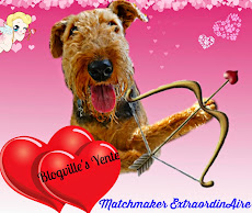 YENTE SERVICE FOR DORY'S BASH