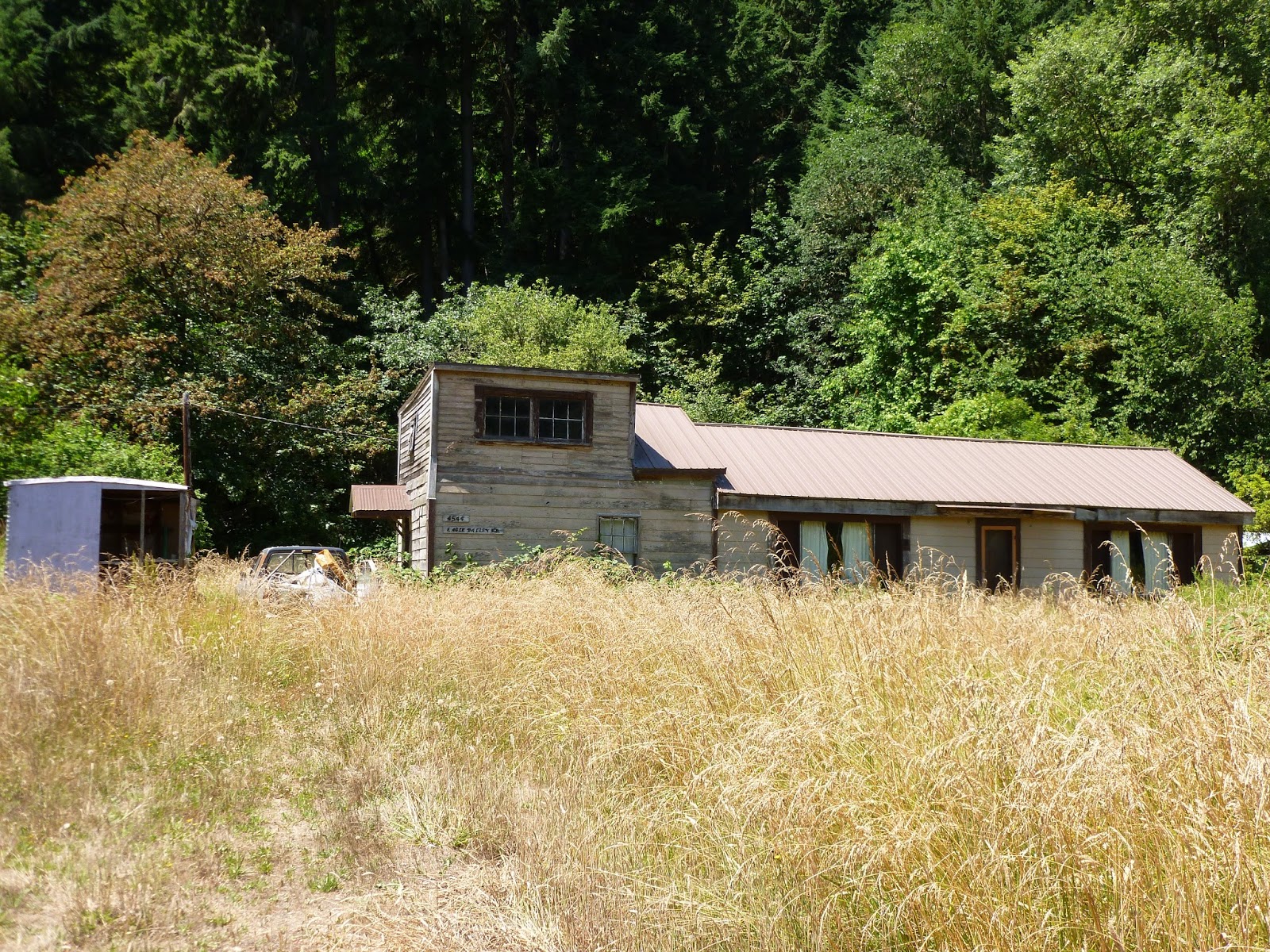 The Adventures of Big Bummed Girl and her Bike Biking near Yoncalla