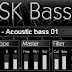 DSK BassZ VST Free Download