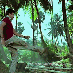 AttarintikiDaredi+(5).gif