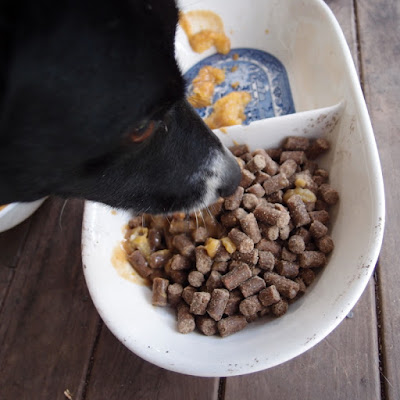 eight acres: real food for dogs