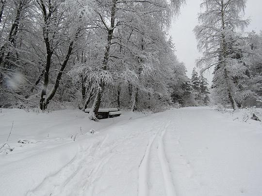 Z lewej mamy źródełko i ławki.