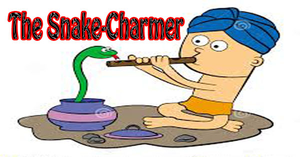 Snake charmer pistol 410 image