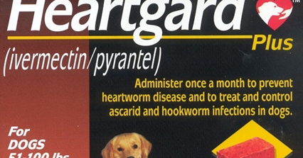 Medi-Vet Blog for Pets: Heartgard Plus Chewables for Dogs