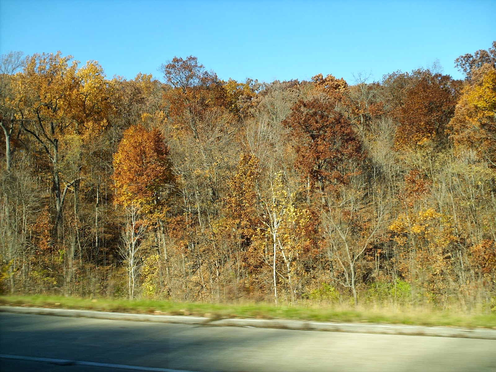 Clayton Cramer. Oxford, Indiana