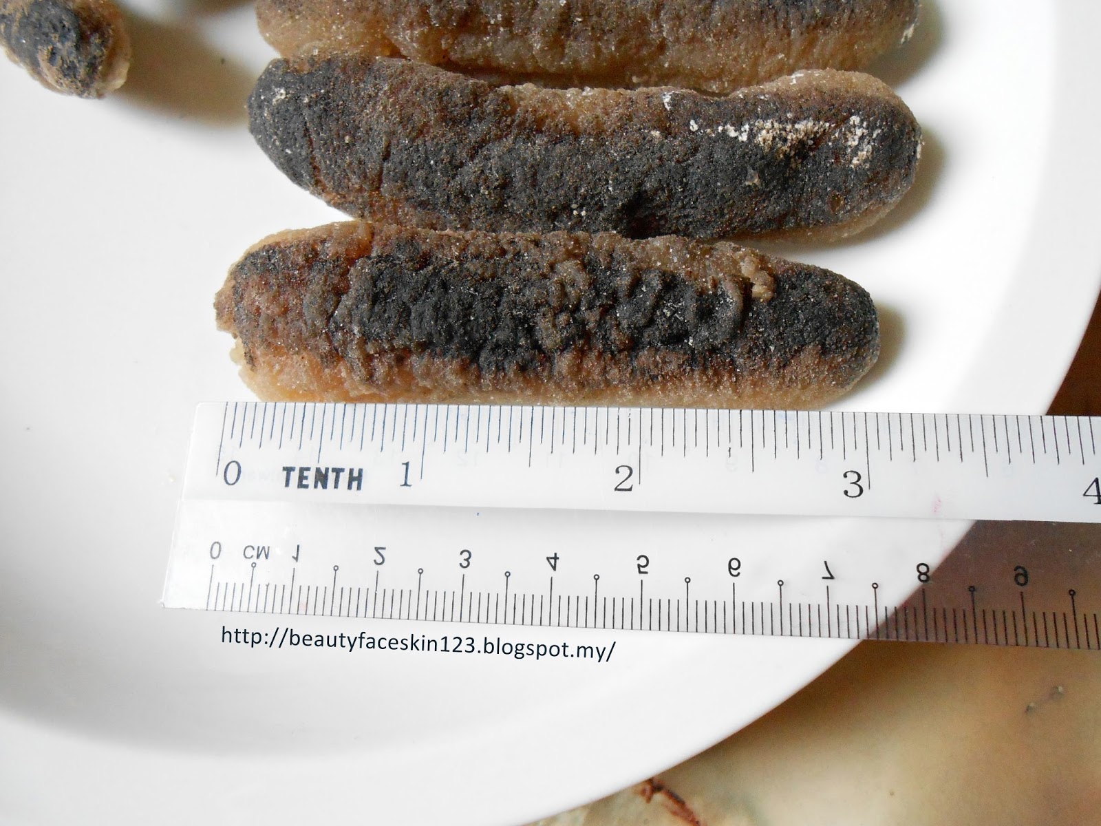 GREAT SKINandLIFE FOOD SEA CUCUMBER FOR YOUR HEALTH AND BEAUTY