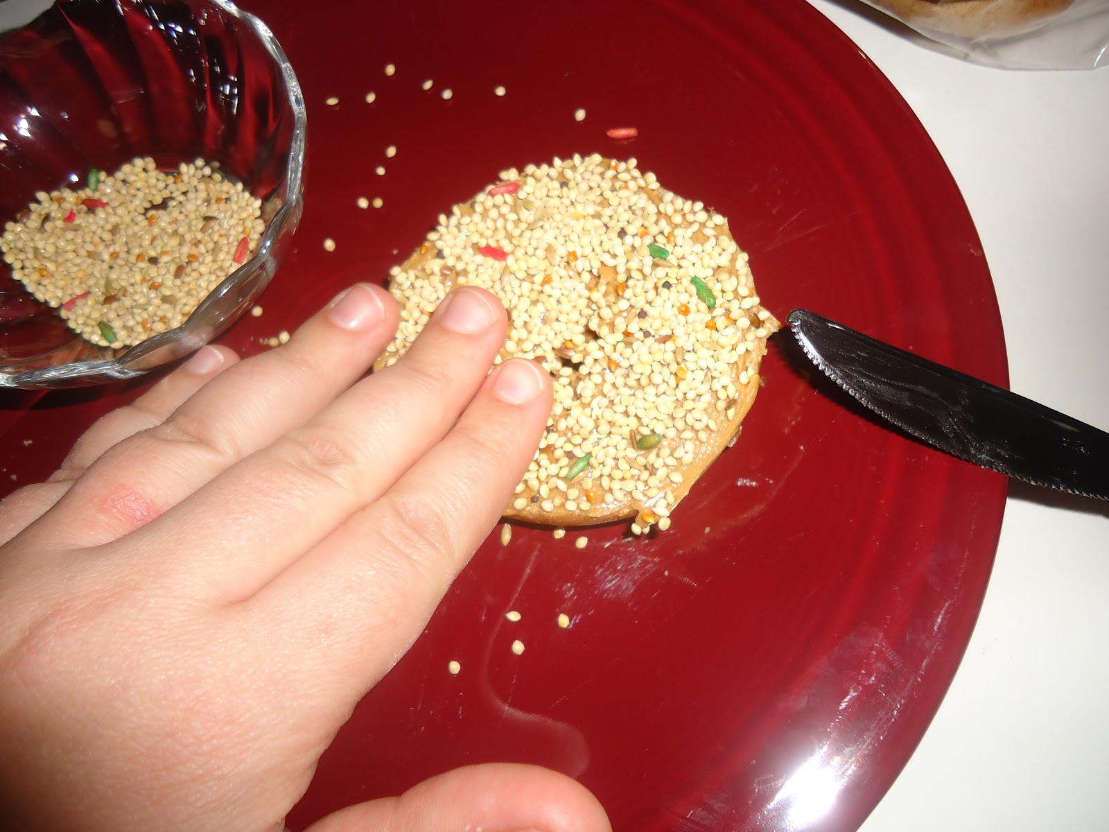 Pretty Cool Preschool Bagel Bird Feeder
