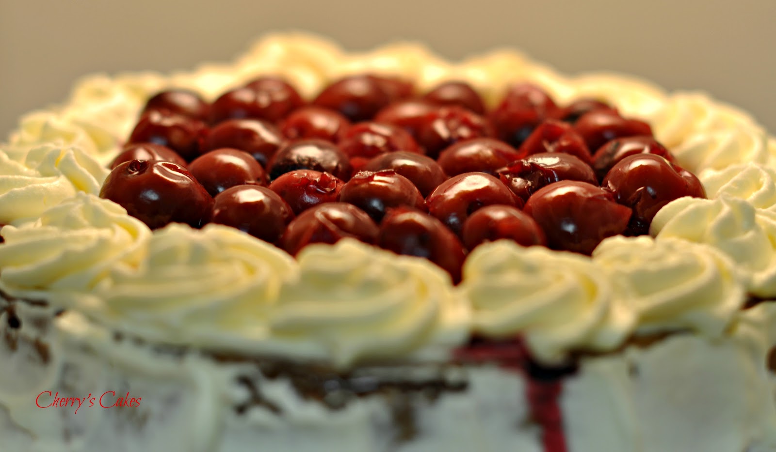 Cherry's Cakes Black Forest Cheesecake