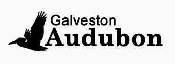 Galveston County Audubon
