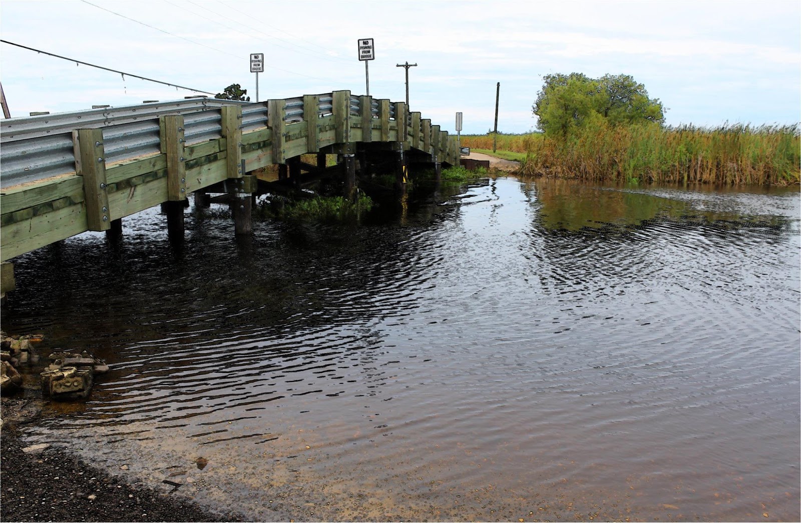 Tammany Family Bridges