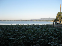 Beijing Blog: Wo Shi Mei Guo Ren.