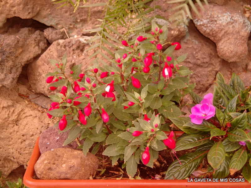 LA GAVETA DE MIS COSAS: abril 2013