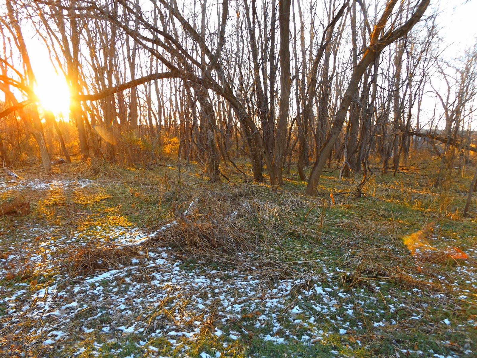 Walking Man 24 7 Rotterdam Kiwanis Park(Mohawk Valley)