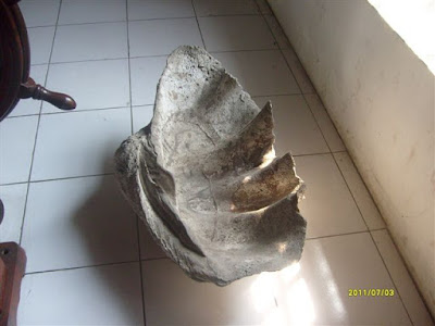 Koleksi Kerang Raksasa Museum bahari