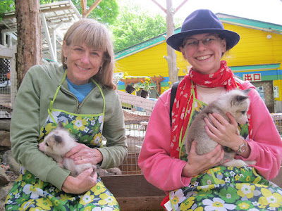   I was looking forrad to visiting this attraction TokyoTouristMap: Zao Fox Village