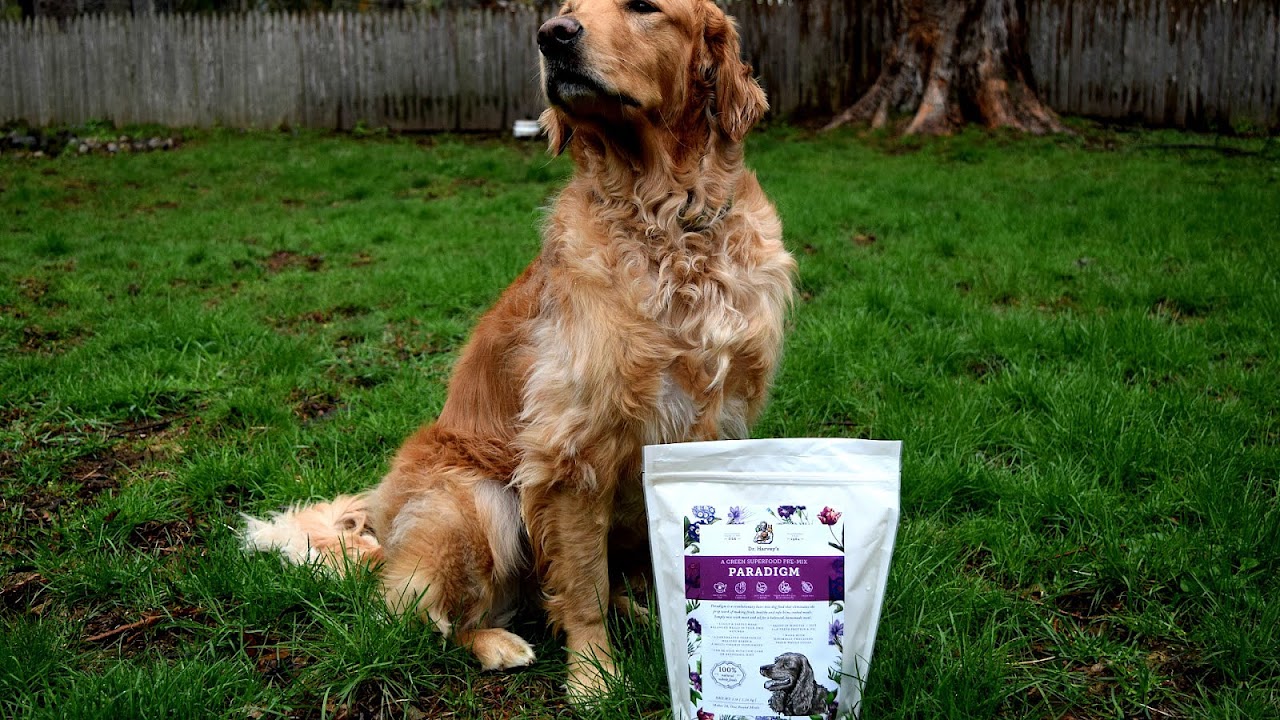 Low Carb Dog Food Brands Brand Choices low-carb-dog-food-brands-brand-choices