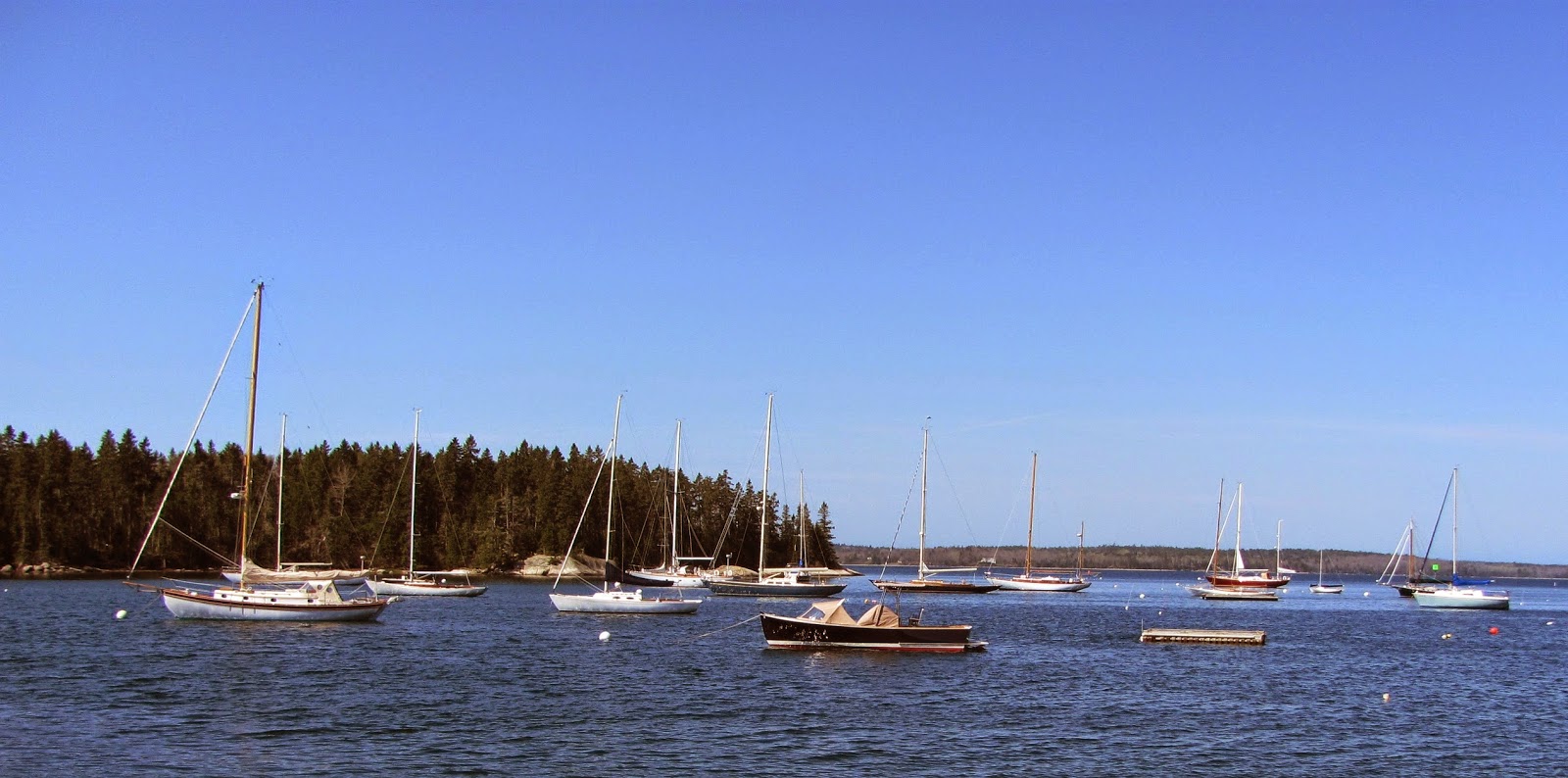 CAPTAIN'S BLOG A Season in Brooklin, Maine