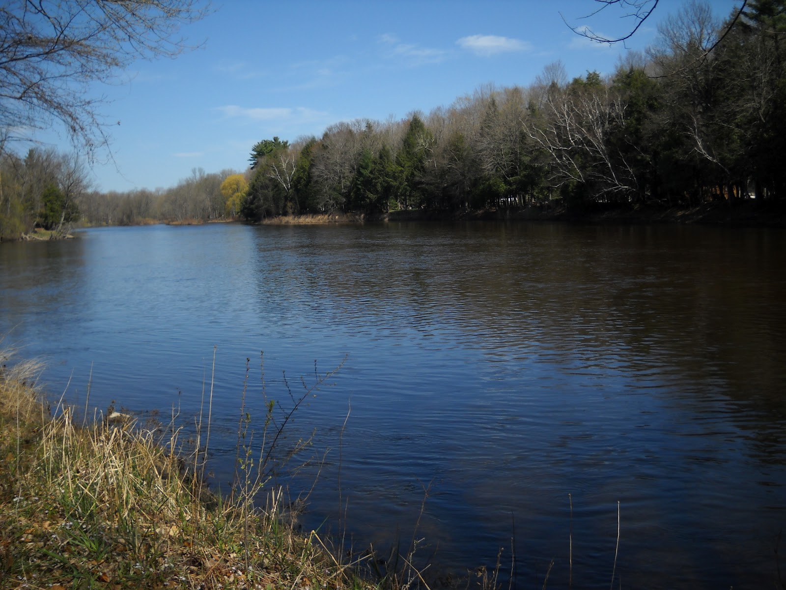 picture_perfection The Muskegon River