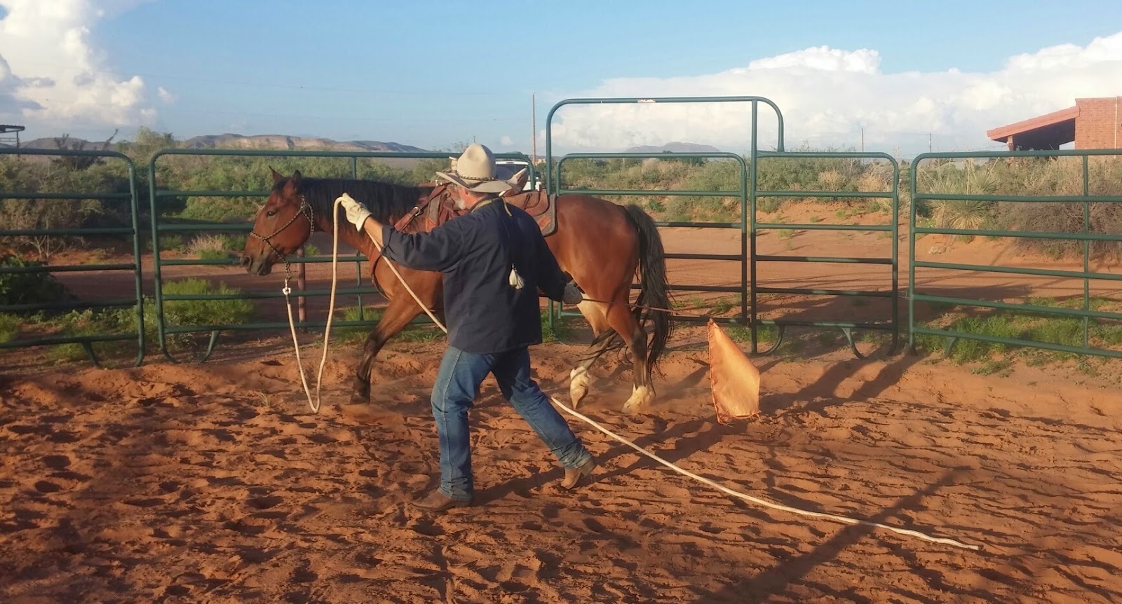 Functional Horsemanship Are Lunge Lines Dangerous?