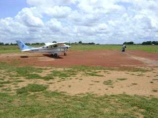 Primavera Amarilla Amarillos De Primavera Foto De Archivo