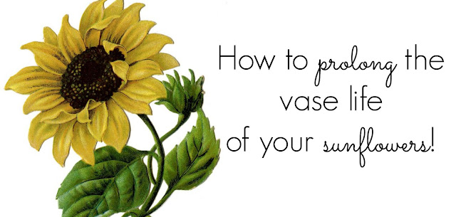 how to keep sunflowers in a vase