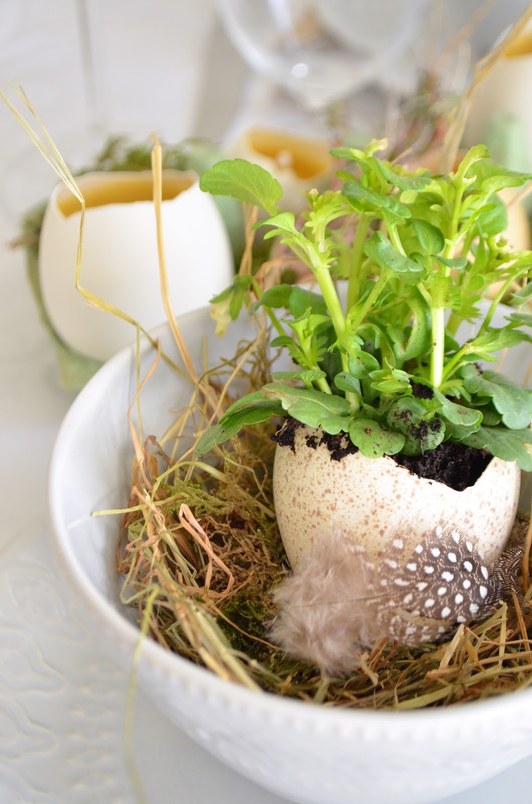 Kinderkram Geschenkideen Zu Ostern 30 Rockt