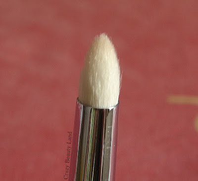 Zoeva 230 Luxe Pencil Brush Review Price Availability in India