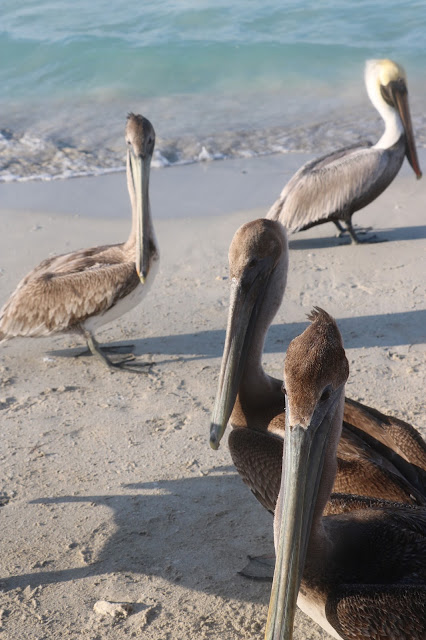 varadero beach