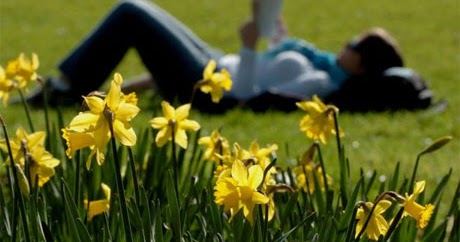 टिक टिक वाजते डोक्यात - दुनियादारी 